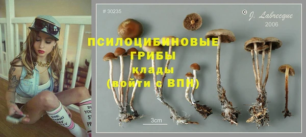 МДМА Нязепетровск
