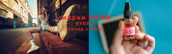 СК Алексин