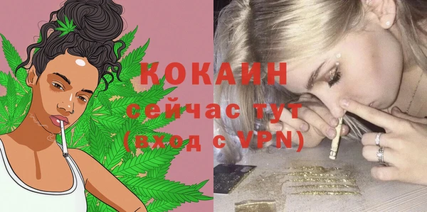 бошки Нягань