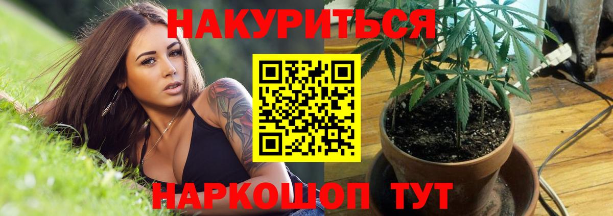 Углич  Бошки Шишки MAZAR  Каннабис Bruce Banner  Вход с VPN 